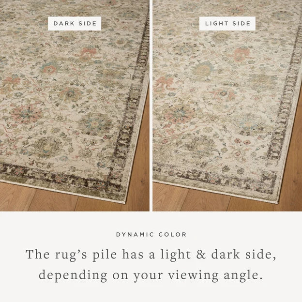 Briar BRR-04 Ivory / Multi Area Rug