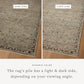 Briar BRR-06 Mist / Granite Area Rug