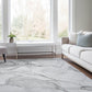Odelia OY13 Gray Area Rug