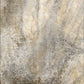 Odelia OY5 Taupe Area Rug