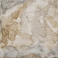 Odelia OY8 Brown Area Rug