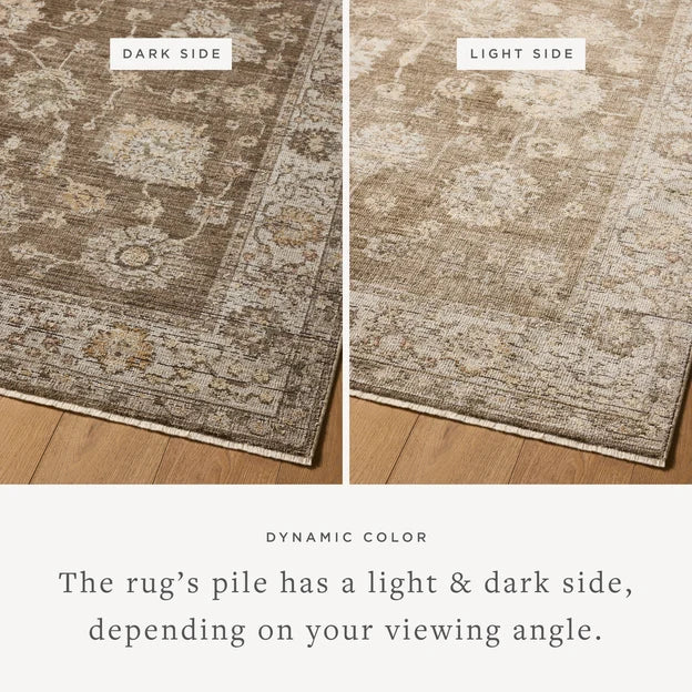 Priscilla PRL-01 Bark / Ivory Area Rug