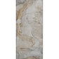 Odelia OY8 Brown Area Rug